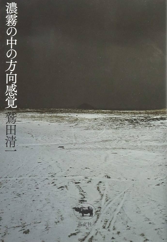 Cover of 濃霧の中の方向感覚