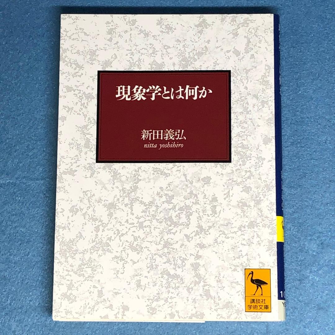 Cover of 現象学とは何か
