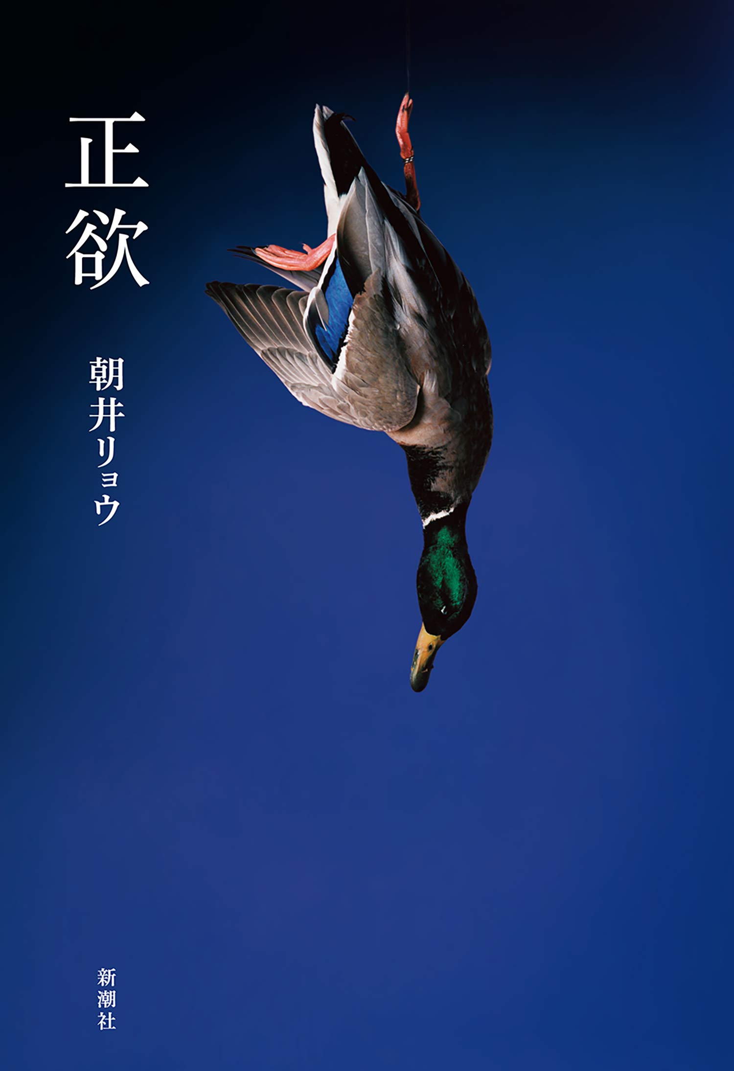 Cover of 正欲
